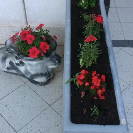 Apartmani Katarina Makarska Esterno foto